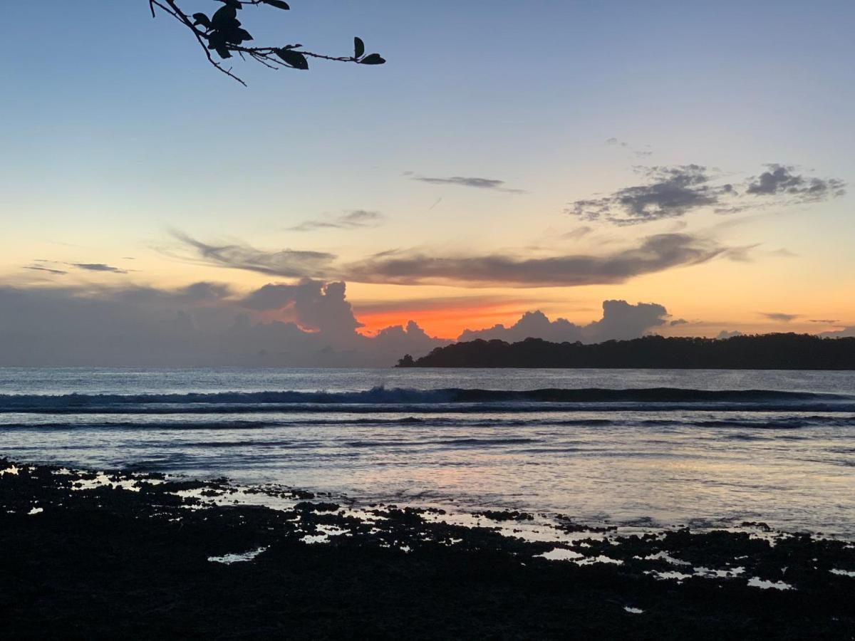 ホテル Surf Camp ボカス・タウン エクステリア 写真